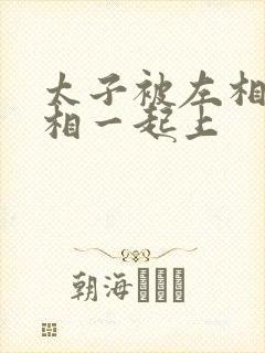 太子被左相和右相一起上