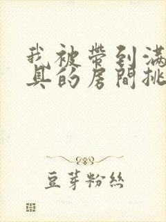 我被带到满是玩具的房间挑调游戏