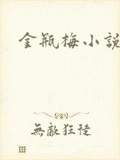 金瓶梅小说下载