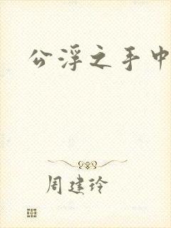 公浮之手中字5