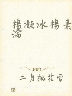 杨凝冰杨素宁沉沦封面