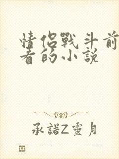 情侣战斗前适合看的小说封面