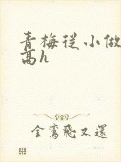 青梅从小做到大高h