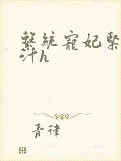 系统宠妃紧致多汁h