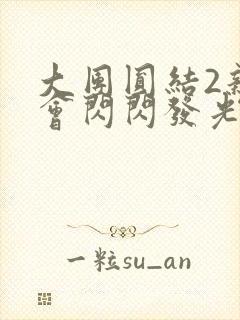 大团圆结2亲情会闪闪发光目录封面