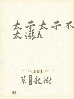 太子太子不要了太涨h封面