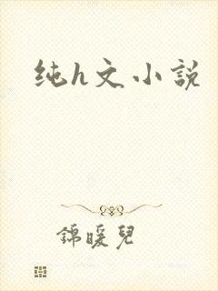 纯h文小说