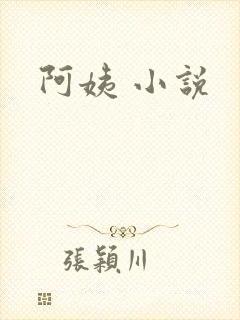 阿姨 小说