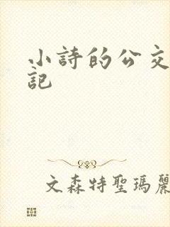 小诗的公交车日记