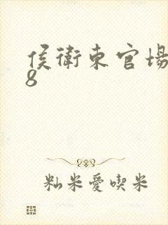 侯卫东官场笔记8封面