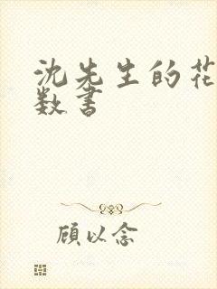 沈先生的花式调数书