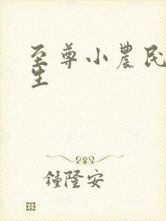 至尊小农民王木生封面