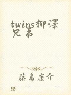 twins柳泽兄弟封面