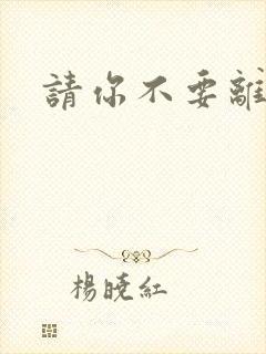 请你不要离开我封面