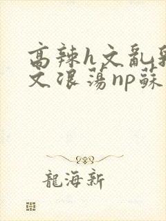 高辣h文乱乳h文浪荡np苏夏