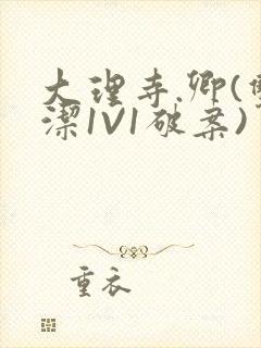 大理寺.卿(双洁1V1破案)