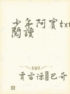 少年阿宾txt阅读封面