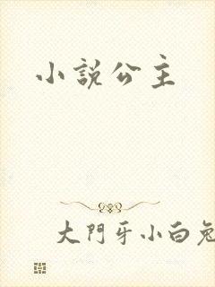 小说公主封面
