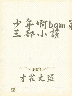 少年啊bgm第三部小说
