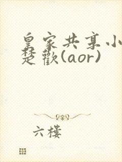 皇家共享小公主楚欢(aor)