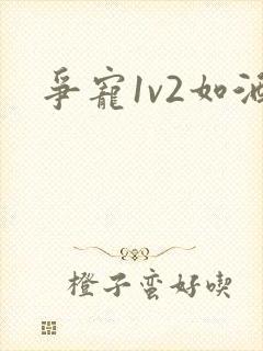 争宠1v2如酒封面