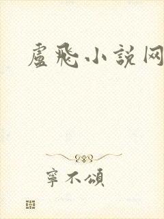 卢飞小说网封面