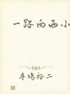 一路向西小说