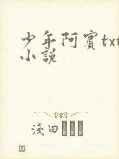 少年阿宾txt小说