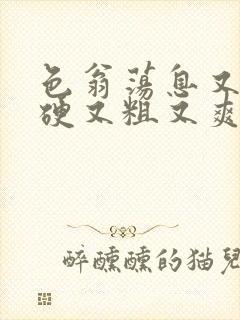 色翁荡息又大又硬又粗又爽封面