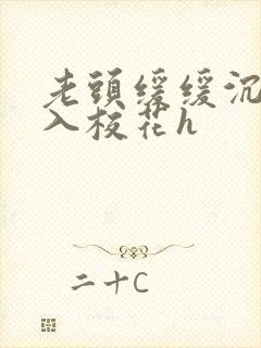 老头缓缓沉腰进入校花h