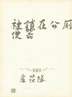 被锁在公厕当坐便器