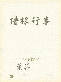 借根行事封面