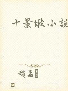 十景缎小说