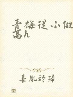 青梅从小做到大高h