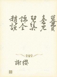 赵锦儿秦慕修小说全集免费封面