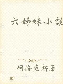 六姊妹小说封面