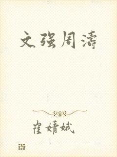 文强周涛封面