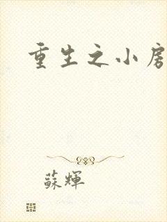 重生之小房东