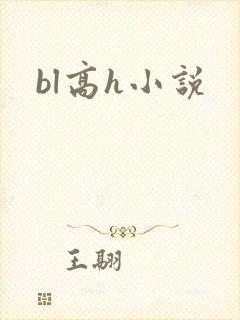 bl高h小说封面