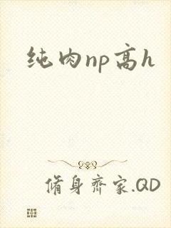 纯肉np高h