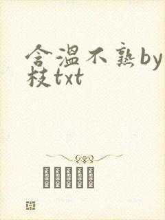 含温不熟by词枝txt