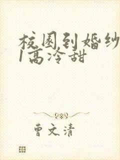 校园到婚纱1V1高冷甜