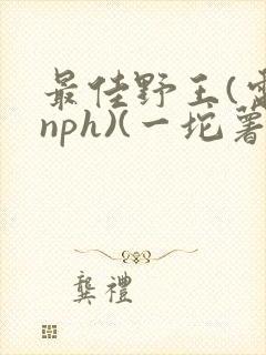 最佳野王(电竞nph)(一坨薯饼)_无拼音封面