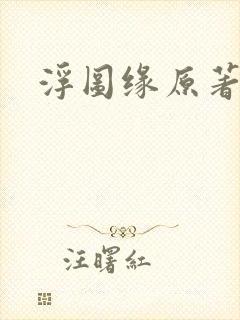 浮图缘原著小说