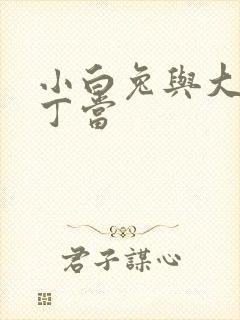 小白兔与大灰狼丁当