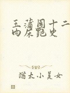 玉蒲团十二寡妇肉床艳史封面