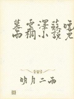 慕云泽苏晚晴夏雨桐小说免费阅读