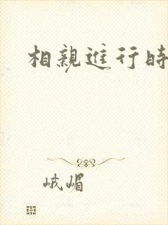 相亲进行时封面