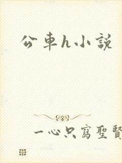 公车h小说