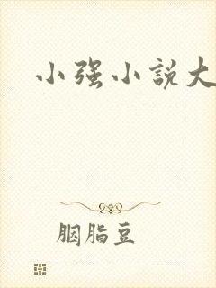 小强小说大全封面